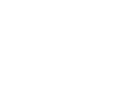 Passionate Young Leaders Initiative